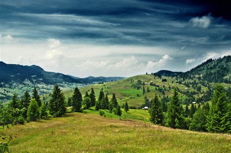 Bucovina, Romania photo on Sunsurfer