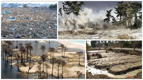 EFFECTS ON LAND - 2004 THAILAND TSUNAMI