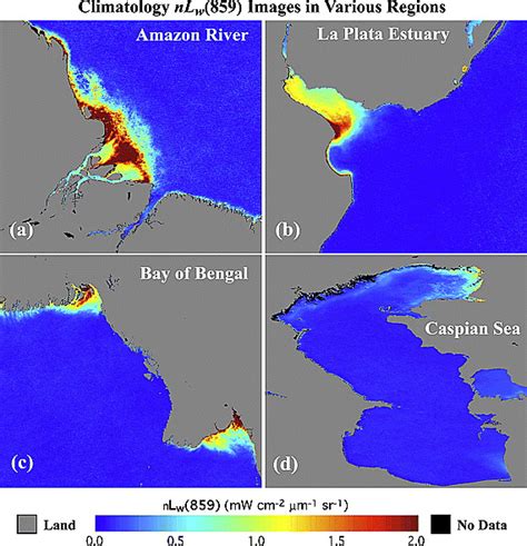 Characterization of global ocean turbidity from Moderate Resolution ...