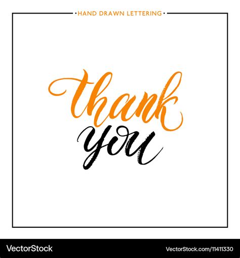 Thank you text isolated on white background Vector Image