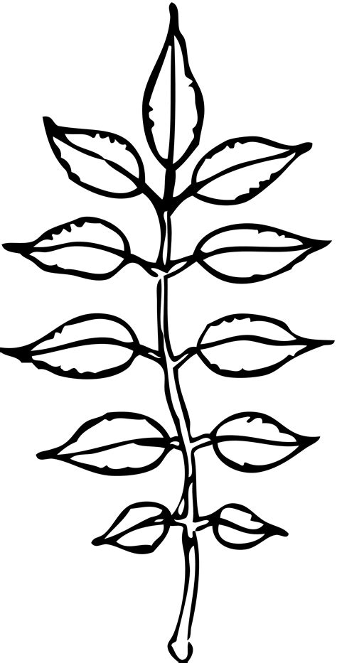 Leaf Template For Writing