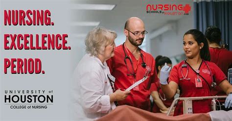 University of Houston Nursing √ NursingSchoolsinHouston.com