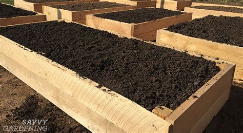 The Best Soil for a Raised Garden Bed: Healthy Soil Equals Healthy Plants