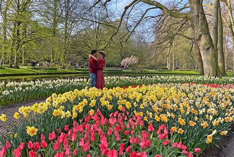 Cómo visitar Keukenhof (Holanda) el 2024: precio y entradas