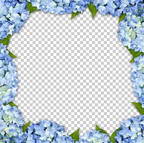 hydrangea border clip art 10 free Cliparts | Download images on ...