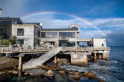 Job opportunities | Monterey Bay Aquarium