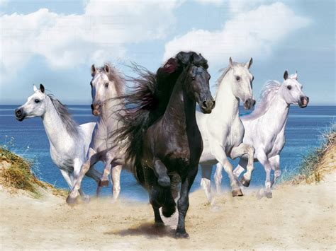 🔥 [100+] Running Horses Wallpapers | WallpaperSafari