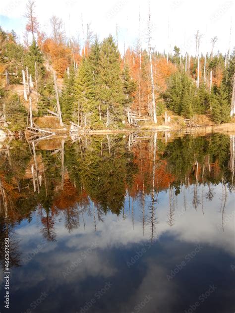 Lake Laka with floating islands on the surface is the smallest ...