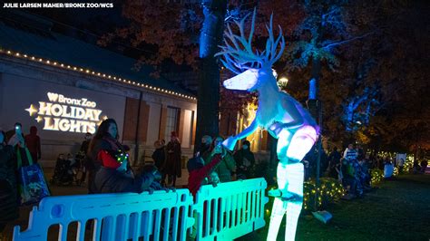 Bronx Zoo Holiday Lights festival opens in New York City - ABC7 New York