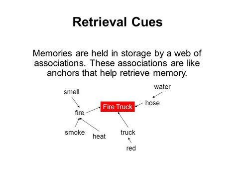 Retrieval Cues Definition Examples Video Lesson