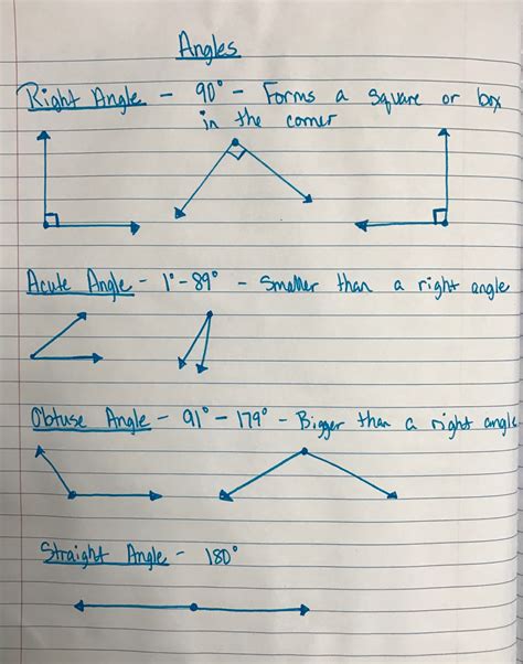 The 4th Grade May-niacs: Naming and Measuring Angles