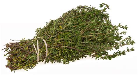 Thyme - An aromatic and medicinal herb - Healthyliving from Nature ...