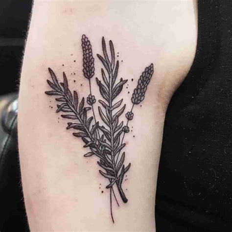 27 Rosemary Tattoo Designs & the Meaning of The Sprig - Tattoo Glee