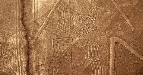 Nazca lines mystery: Giant birds may help scientists finally solve it