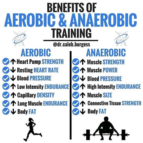 Aerobic vs Anaerobic Exercise Chart