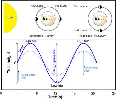 Tides And Moon Phases Chart