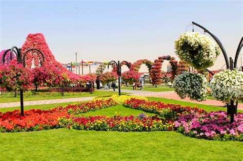 Anything Under The Sun: Dubai Miracle Garden