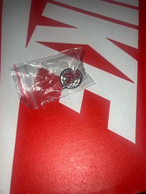 I ordered my dunks off of stockX but this pin also came with it any ...