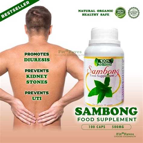 Sambong Capsule Herbal 500mg 100s All Natural Organic Safe Food ...