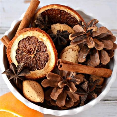 Homemade Christmas Potpourri - How to make potpourri