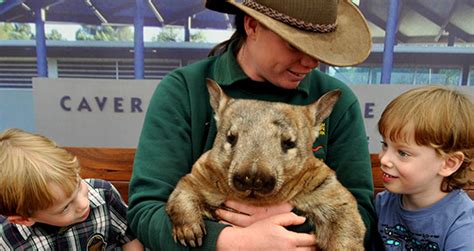 Home » Caversham Wildlife Park