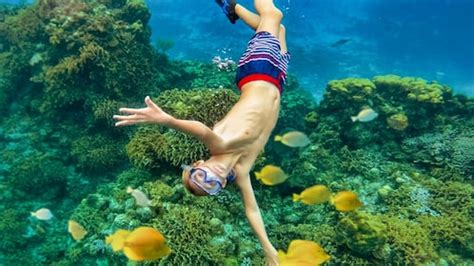 10 Fun Things to Do in Cozumel January 2024 | Expedia