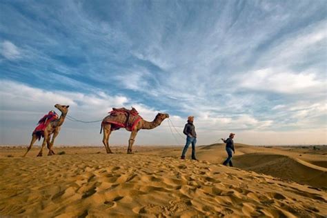 2024 Desert Camel Safari Day Tour In Jodhpur