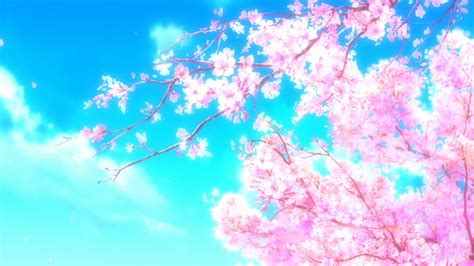 Pink Cherry Blossom Flowers Blue Sky Anime Background Anime Background ...