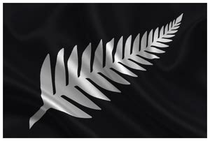 Silver Fern Flag - Home