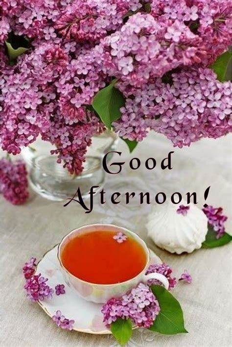 Good afternoon images hd good afternoon wallpaper good afternoon ...