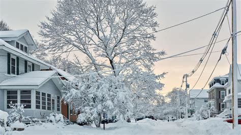 Winter weather in spring causes confusion and chaos within ...