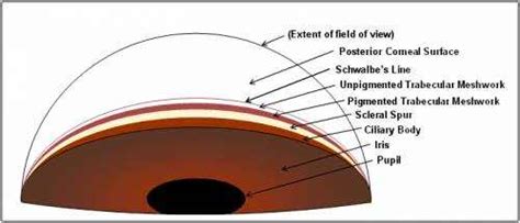 Gonioscopy: Definition and Prosess Description | EYExan.com