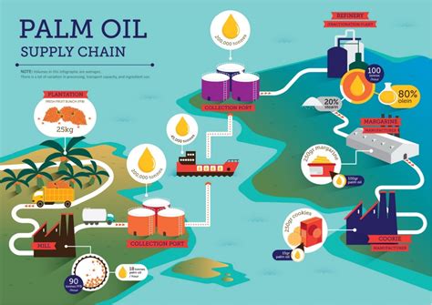 Palm Oil - What is it and why is it important? - Green Campus ...