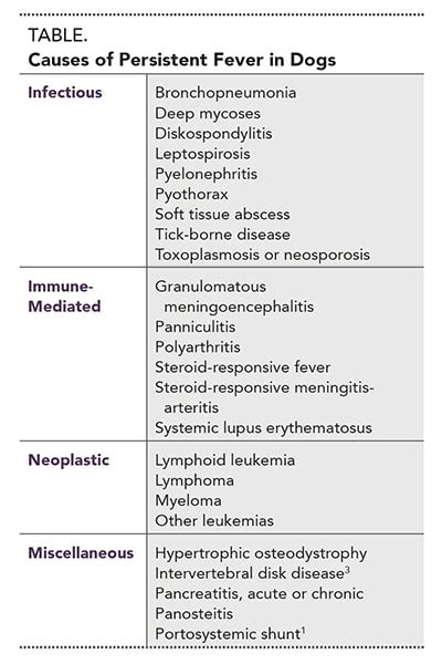 Uncovering the Cause of Fever in Dogs