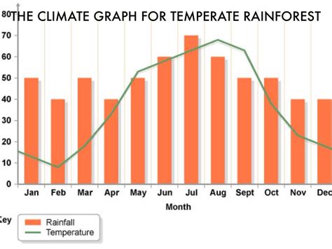 Tropical Rainforest Climate Graph