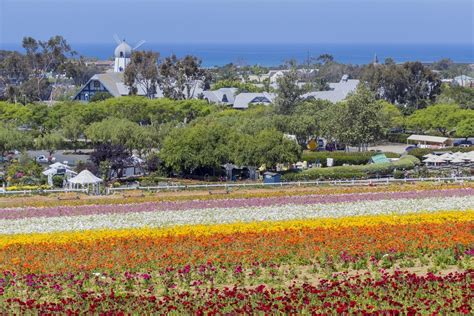 Location of Carlsbad Village and Resorts in Carlsbad CA on The Beach ...