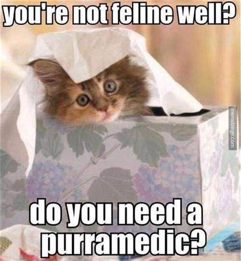 Not feline well? You need a purramedic! (With images) | Cat puns, Funny ...