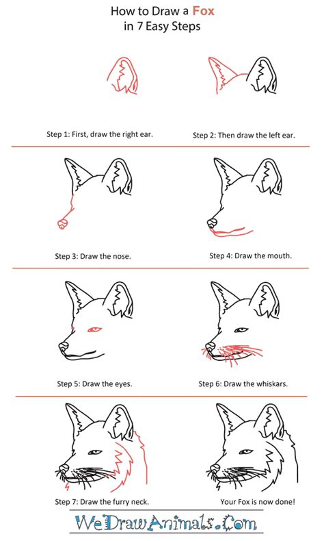 How To Draw A Anthro Fox Head Fox On Head By Huskie666 Fox Drawing ...