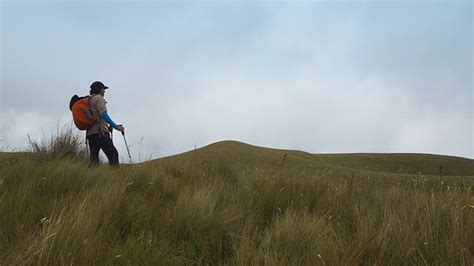 Tips And Techniques To Using Trekking Poles Properly