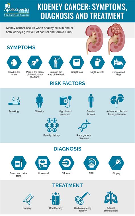 Overview of Kidney Cancer: Causes, Symptoms & Treatment