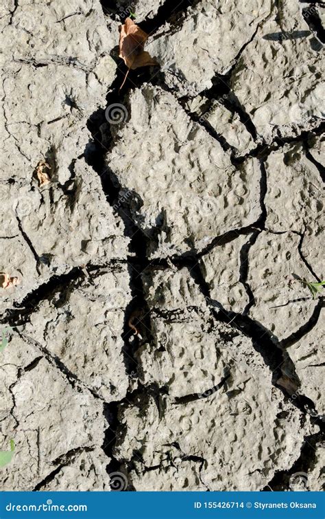 Cracked earth stock photo. Image of dryness, crack, cracks - 155426714