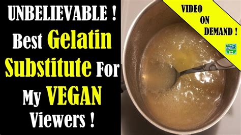 Best Gelatin Substitute For VEGANS ! All You Need To Know ! - YouTube