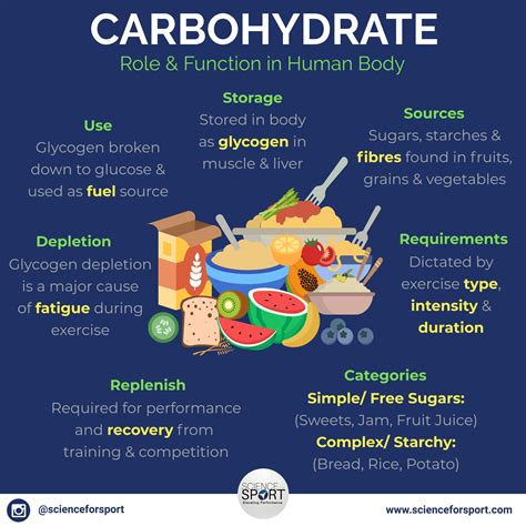 Science for Sport on Twitter | Meal replacement smoothies ...