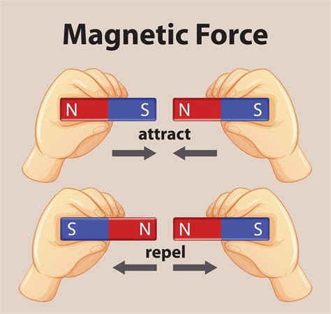 Magnetic force show magnetic attraction and repulsion for kids physics ...