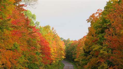 Michigan's Upper Peninsula showing brilliant colors of fall