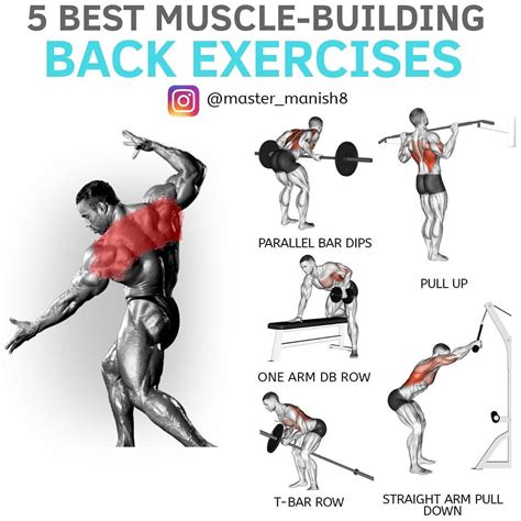 back exercises for men > OFF-74%