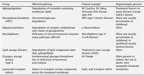 Lysosomal Storage Disease Pathway - Captions Tempo