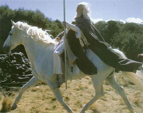 a man riding on the back of a white horse