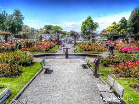 Wellington Botanic Gardens. Wellington, New Zealand - Travel To Eat by ...