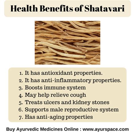 Benefits of Shatavari | Ayurvedic medicine, Ayurvedic remedies ...